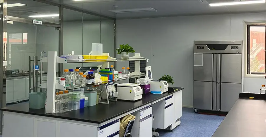 Plasmid preparation laboratory.png